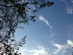 IMG_20130918