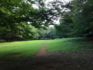 IMG_130902