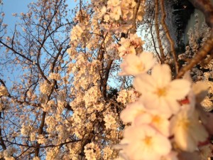 20150511_1
