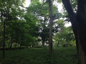 20150903_2